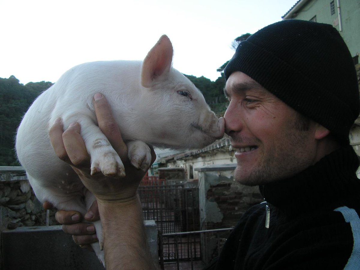 Progetto finanziato! produzionidalbasso.com/project/lisola…