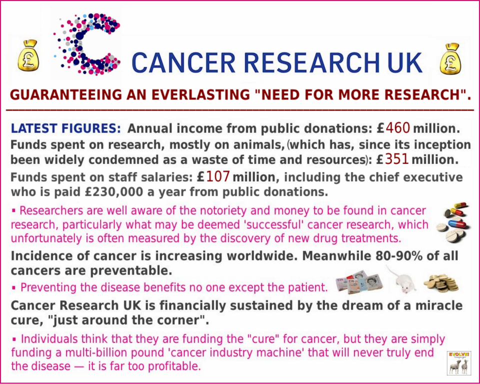 cannacol's tweet photo. #cancerracket END THE WAR ON CANCER SUFFERERS MAKE CANNABIS FRONT LINE TREATMENT http://t.co/jaTYO4whTf