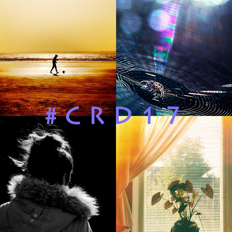 Nouveau #thème #photo pr cette semaine : le #contrejour !! #crd17 et #ALJPHOTO pr vos images éblouissantes ! #lumière