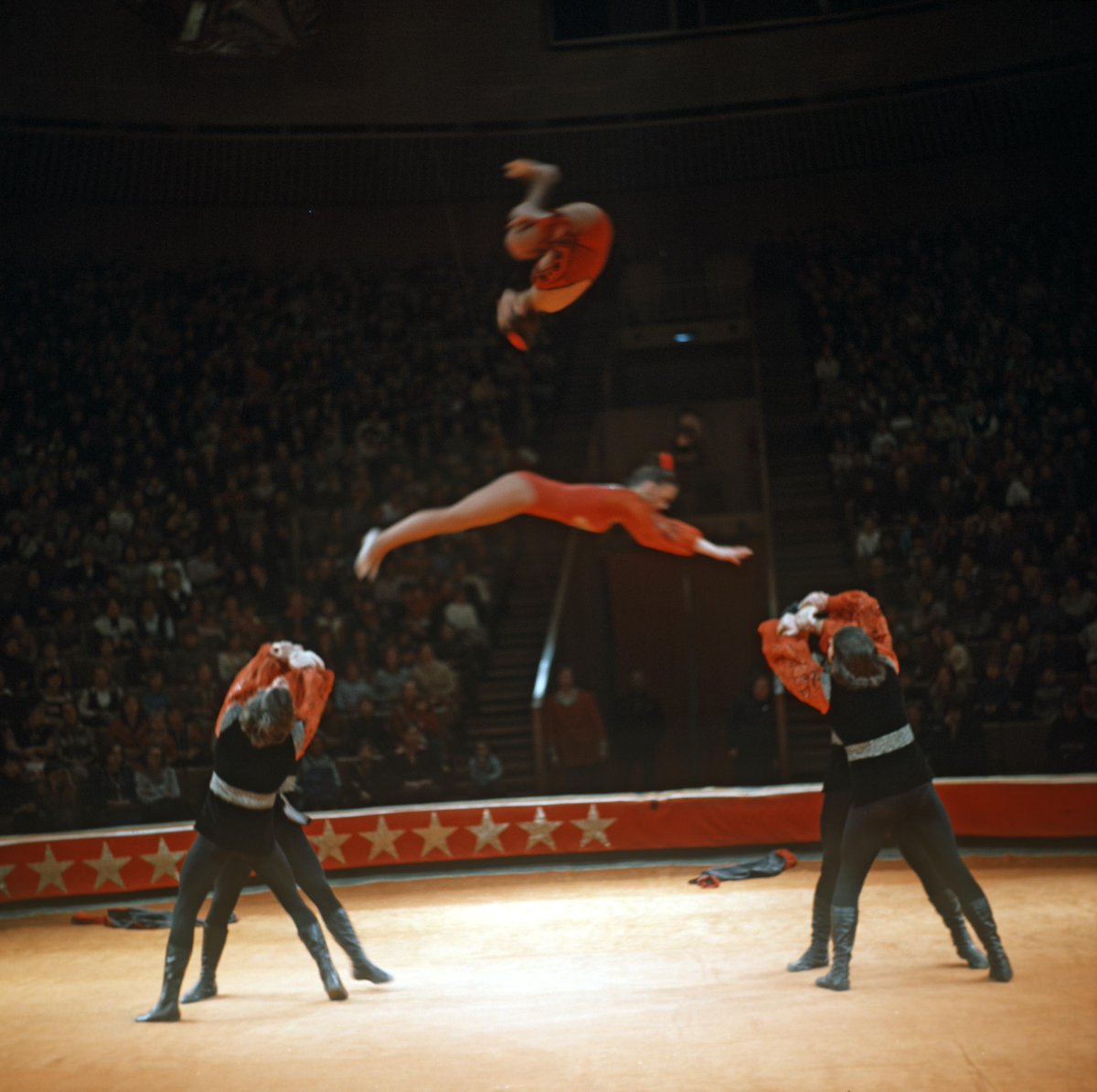 #Circus in Russia? Click here to read more about this magical world! ht.ly/K5OWY