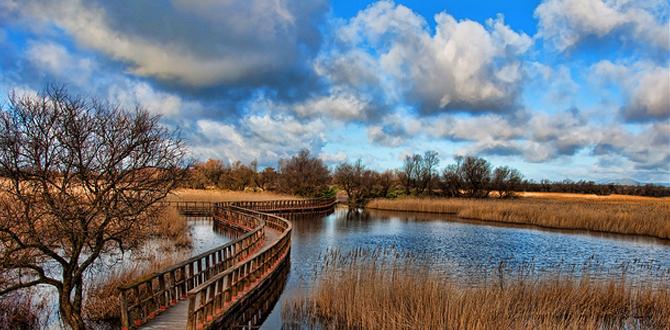 estaenclm (@estaenclm) on Twitter photo Razones para visitar el Parque Nacional de las #TablasdeDaimiel -
<a href="/Tablasdaimiel/">Tablas de Daimiel</a> bit.ly/1E0SqWB #turismo Razones para visitar el Parque Nacional de las #TablasdeDaimiel -
<a href="/Tablasdaimiel/">Tablas de Daimiel</a> bit.ly/1E0SqWB #turismo