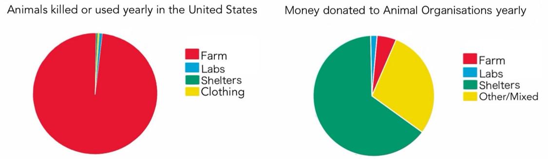 veganuary's tweet photo. Please donate to #Veganuary &amp; help us save the animals: http://t.co/5GqMiPD2kV #FarmedAnimals #MostAbused #Forgotten http://t.co/Ps9VnKmrR0