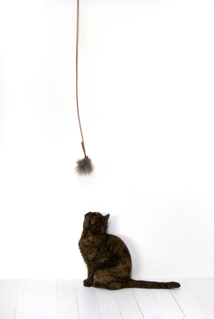 Snorhaar tweet media