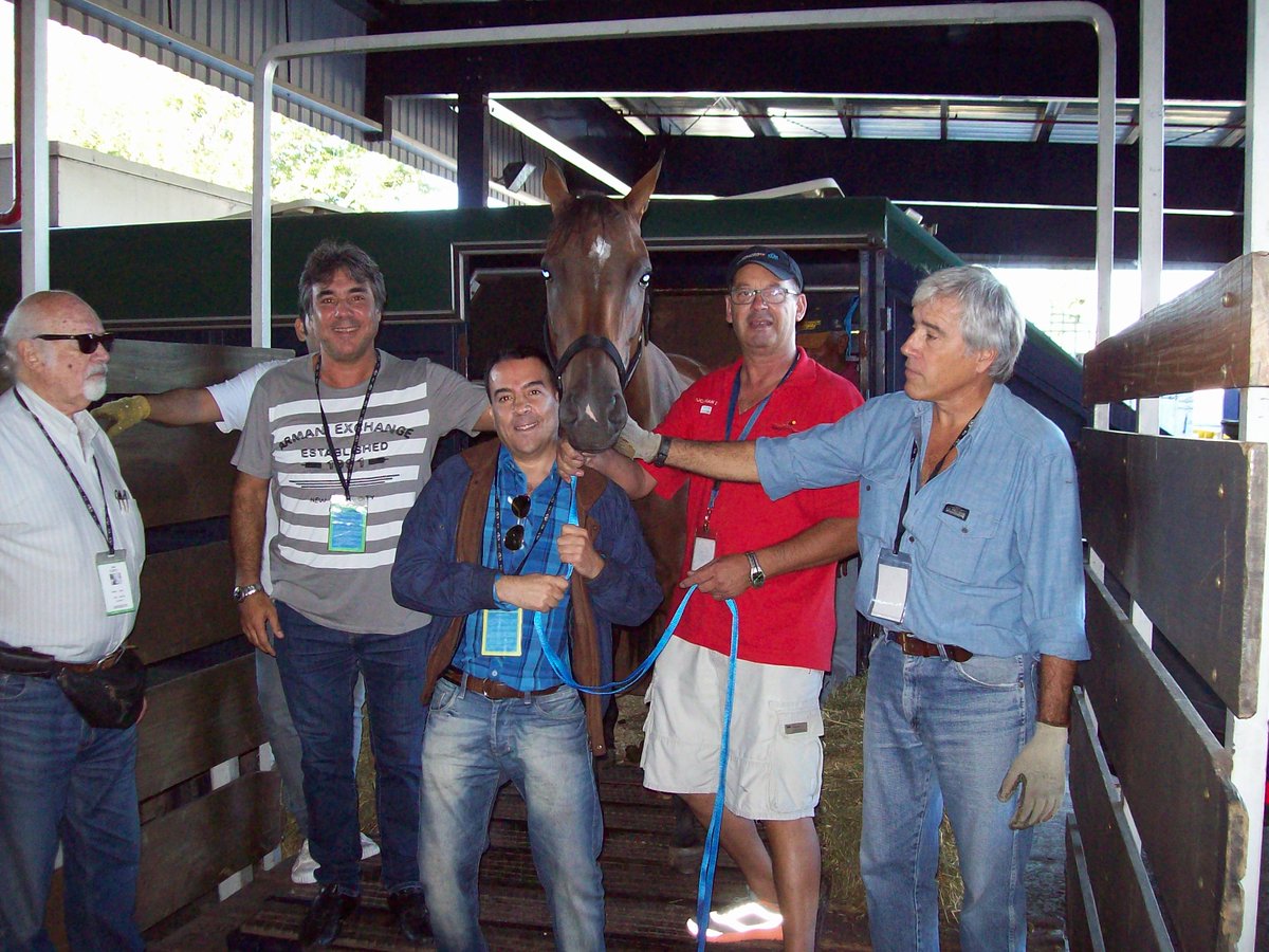 Pura Hipica tweet media