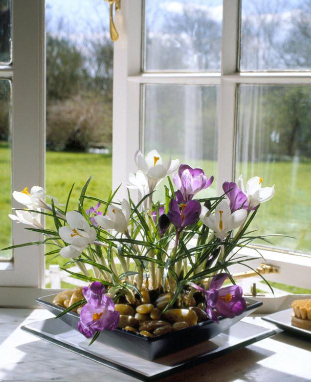 stephenpearce9's tweet photo. Rain rain go away - wishing this was our view! Hope it will be soon once the clouds pass! #sppots #earthenware http://t.co/i8tjvucgNA