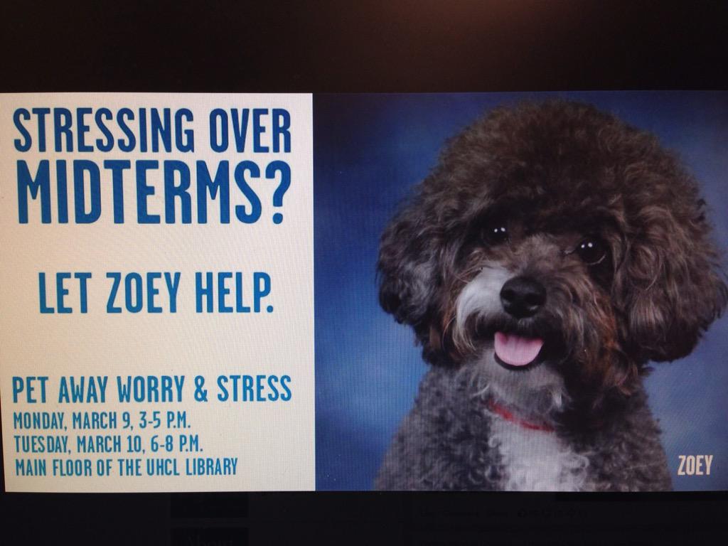 Stressing over midterms? This is your answer! #UHCL