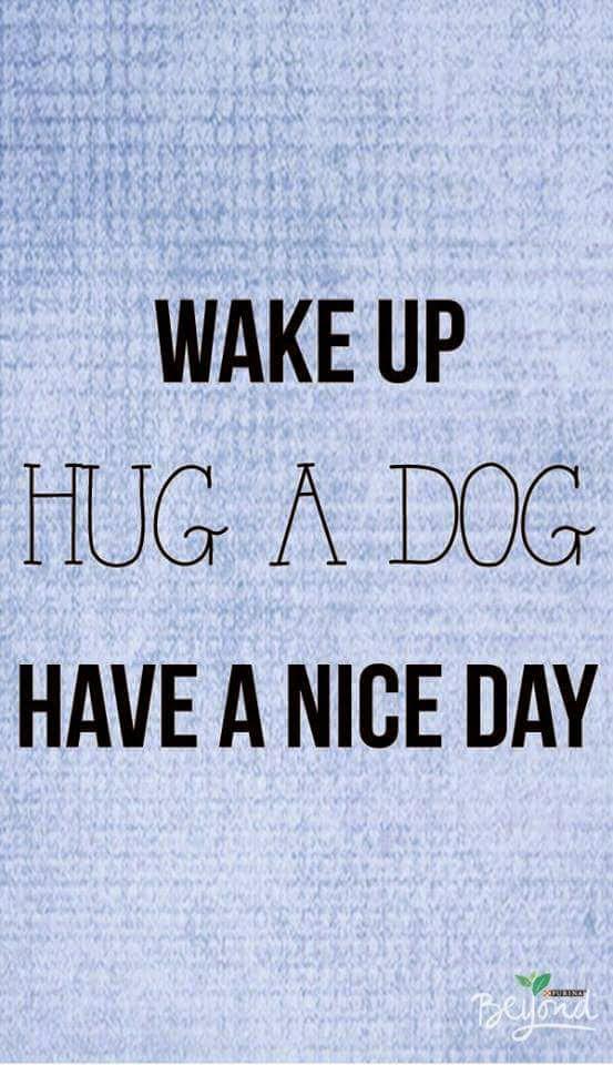 DogTreatNews's tweet image. RT #AutomationRobot: j.mp/1zAfMow Happy Monday everyone! #MondayMotivation #hugs #dogs #doglover