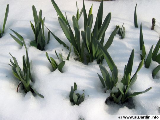 InfoSpinal's tweet image. Bon lundi,