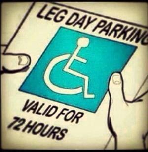 C_HildaLopez's tweet photo. I definitely need this today #legday #fitfam #fithharmony #HappyMonday 😱🔥 http://t.co/jEu5GnRLbC