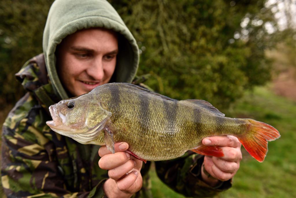 Fox International tweet media