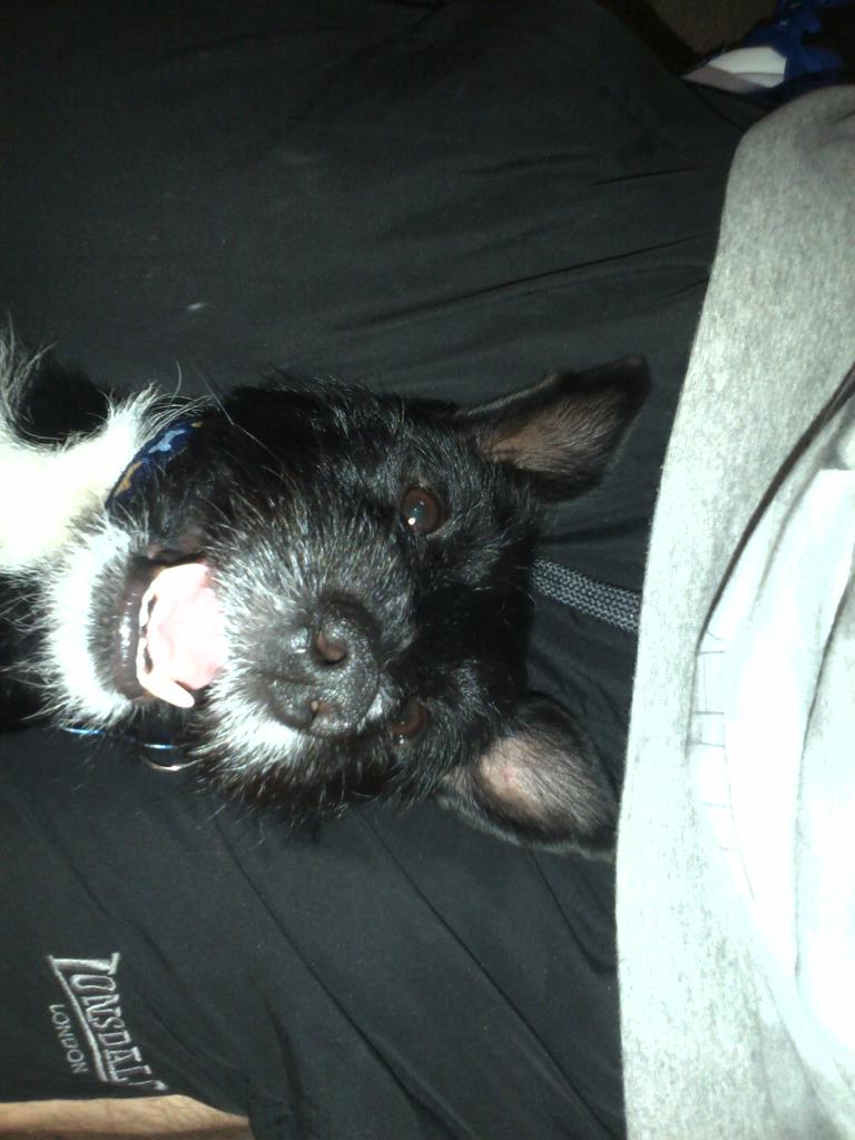 dippy_dan's tweet photo. Smile :D #awesome http://t.co/WyRYLKFcjj