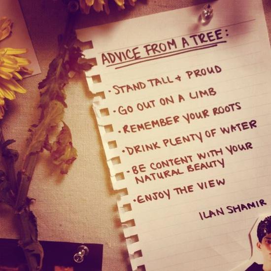 ONresources's tweet image. RT @NEOSRobR: advice from a tree #relatabletweet #net205 #nrt255