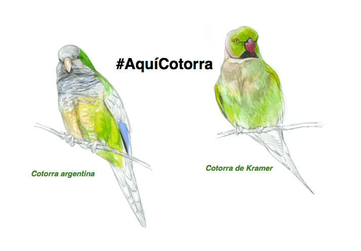 SEO_BirdLife tweet picture