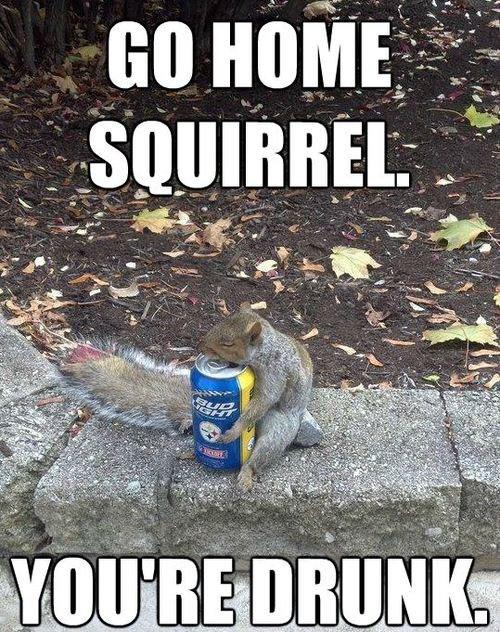 ClemsonSquirrel's tweet photo. When it's Monday &amp; you're still low key hungover from bar crawl... http://t.co/pbvQZyfgOv