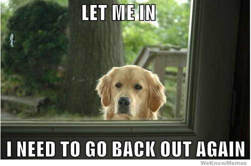 cannabenoid's tweet image. When you&apos;re at work all day and your contact keeps trying to come out. #LetMeOut #ContactProblems