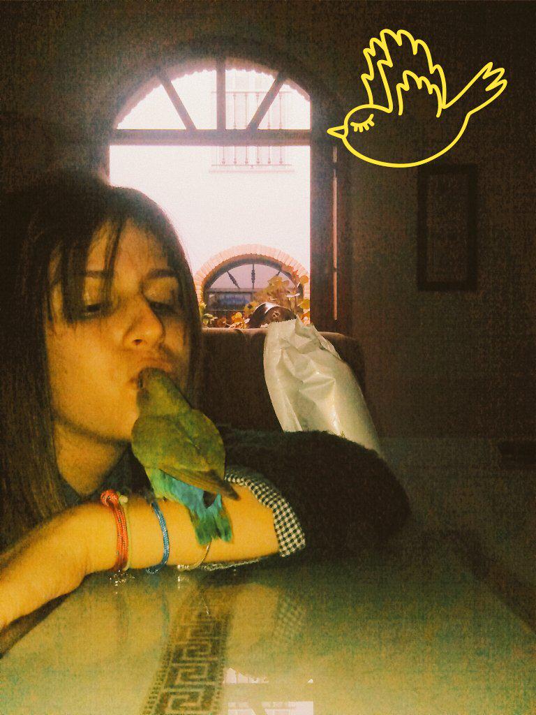 adelaa8769's tweet photo. Buenas tardes 🐦🐦🐦 http://t.co/Ta8qvNoZJw