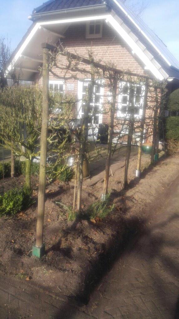 BoxTreeCottage's tweet photo. Er wordt momenteel hard gewerkt in de #tuin. Maar dat is geen straf met dat lekkere weer! #bedandbreakfast #lente http://t.co/rBoCng1qQy