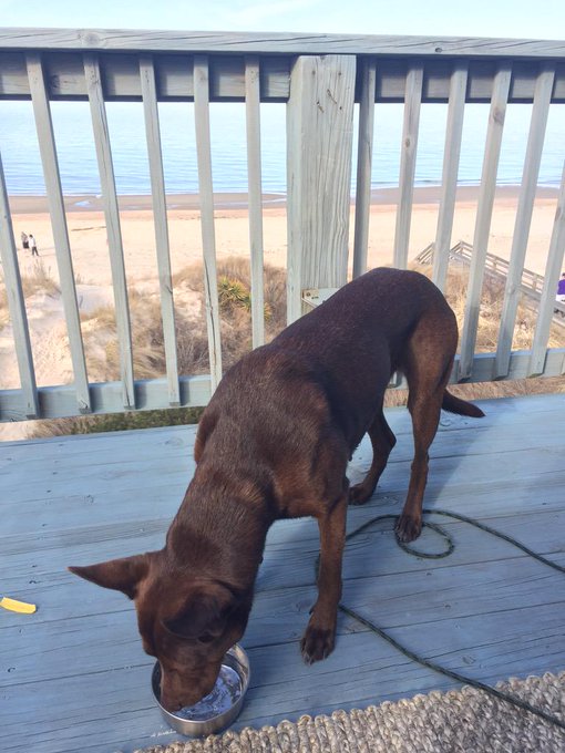 Fun day with Hildi monster. Be online to night :) http://t.co/FOa5ZmsrDs