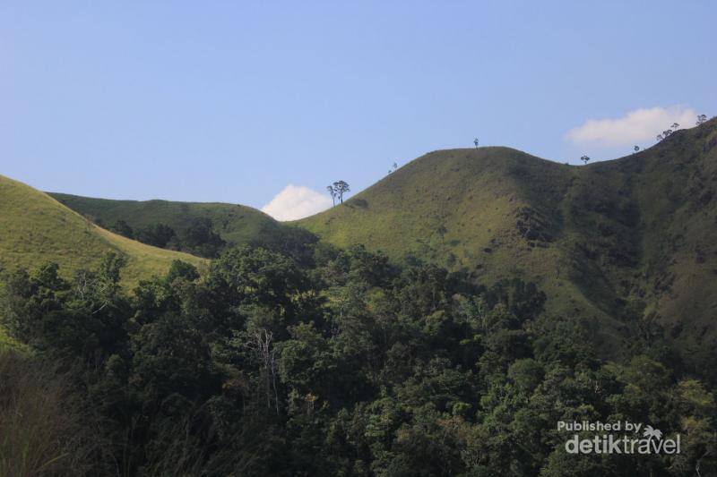 Bukan di Selandia Baru, Ini di Aceh goo.gl/hVNnqM via @detiktravel