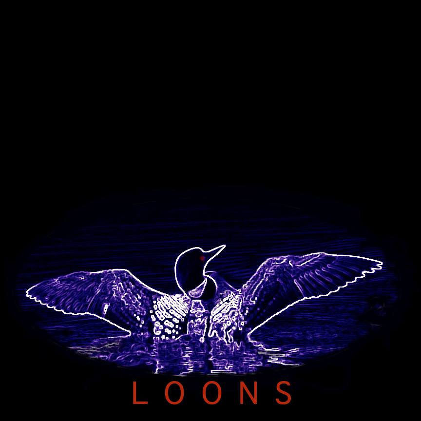 LoonsMusic's tweet photo. Here is something special: http://t.co/n7KrrYpAxR