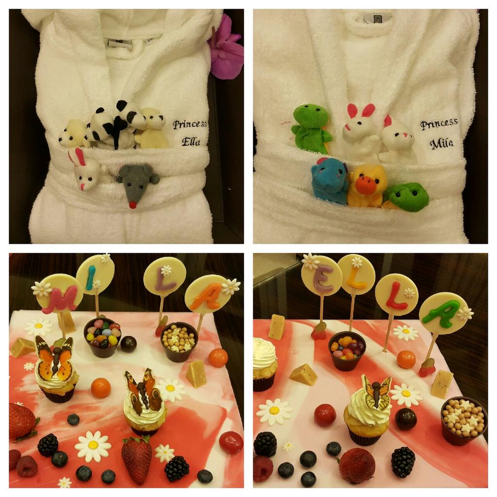NancyAjram's tweet photo. The special welcome as usual for Mila &amp; Ella from the address hotel #dubaimall , thank u 😍😍😍 http://t.co/Wln9DgwwsZ