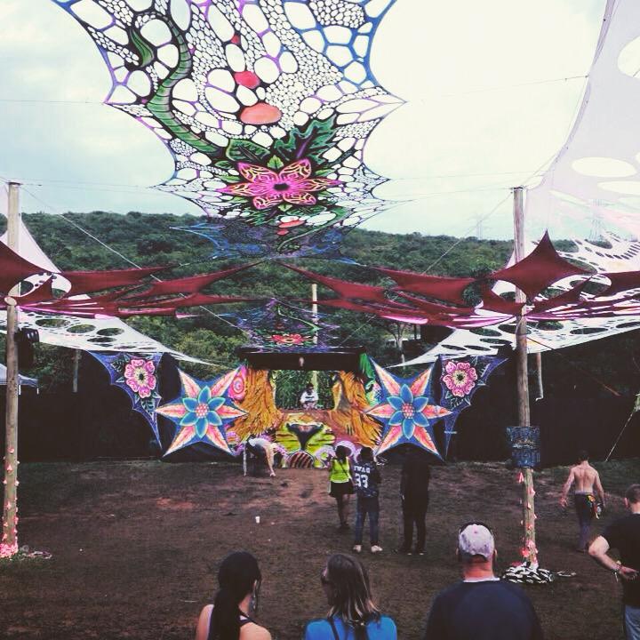 Tate Botha tweet media