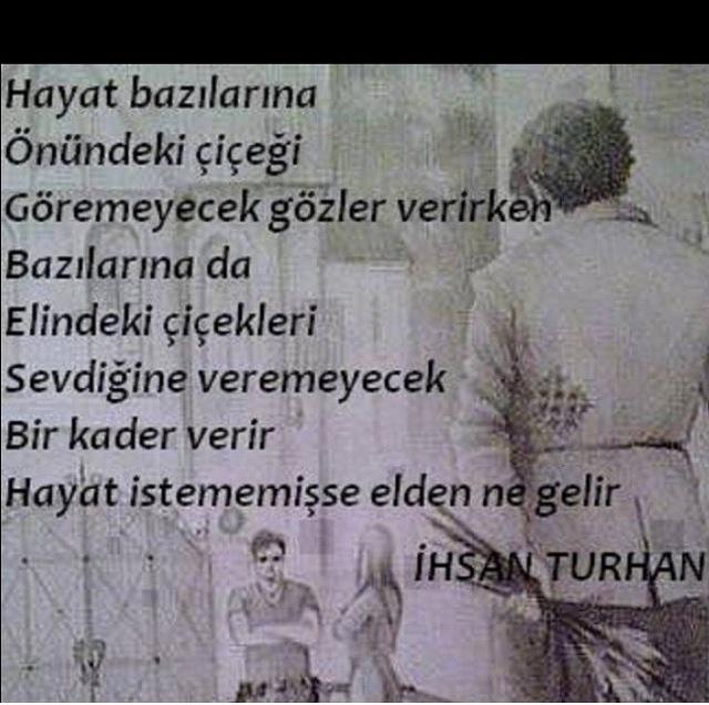 SEMA TEKİN (@semacatek) on Twitter photo 