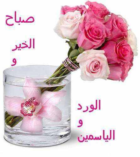 mhamad7716's tweet photo. http://t.co/q3veimxHqm