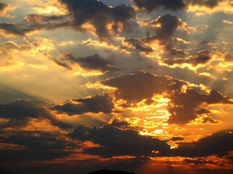 SangreVive's tweet photo. Costa Rica, America Central http://t.co/rleFXQwqVr
