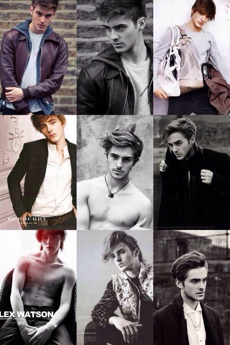 ハリーポッター 大好きさん の人気ツイート 1 Whotwi グラフィカルtwitter分析