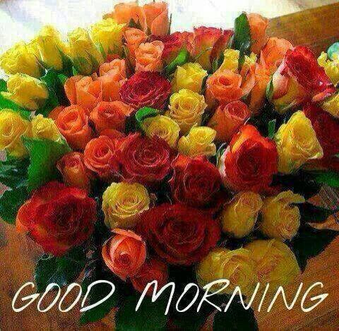 MichaelAdesany2's tweet image. Uninspired