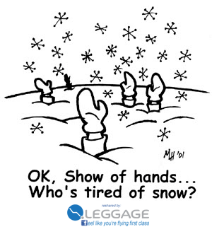 leggagecase's tweet photo. Sick of this #snow? Beat the winter by getting a jump start on #travel deals! Thanks @CNBC http://t.co/TrYr0aMipk http://t.co/4mjFppPcQo