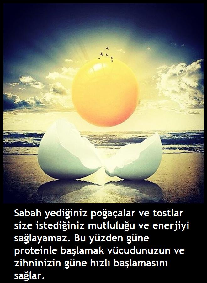 Spor ve Motivasyon® (@s_motivasyon) on Twitter photo 