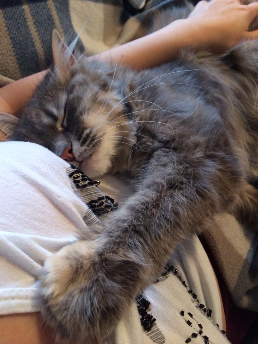 Embedded image permalink