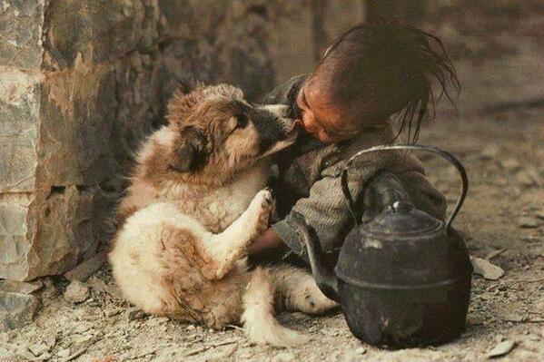 Animalesmsjs's tweet photo. Los Perros hablan un idioma que los humanos aun no dominan 
 🐾🐶 🐾🐶 🐾🐶 http://t.co/FyhAGhOSA7