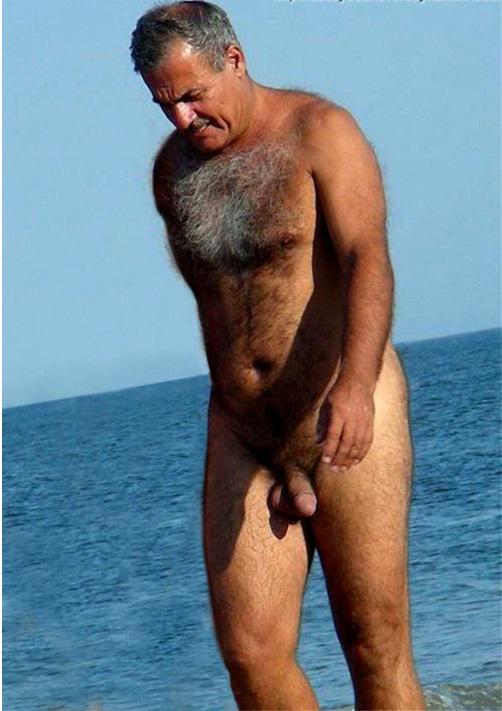 Enlace permanente de imagen incrustada