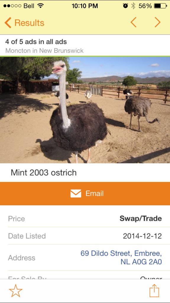 RobertsSay's tweet photo. Bout to get myself an ostrich http://t.co/VZd9dEYV2J