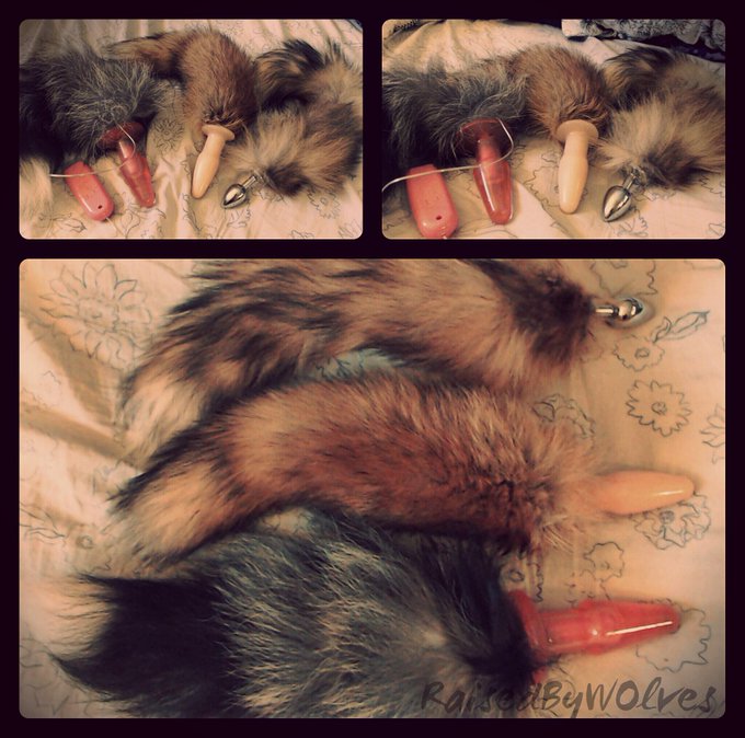 Took some pictures of my #buttplug #tails today. 😍 I am in love with my little collection. #petplay http://t<a href="/tag/buttplug"class="tags">#buttplug</a><a href="/tag/tails"class="tags">#tails</a><a href="/tag/petplay"class="tags"><span>#petplay</span></a>