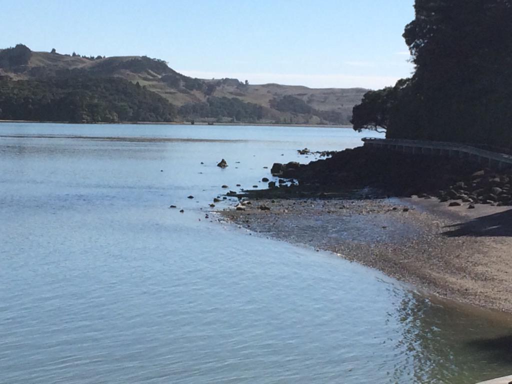 gillfountain's tweet photo. Raglan New Zealand http://t.co/Z5iZMdcKC3