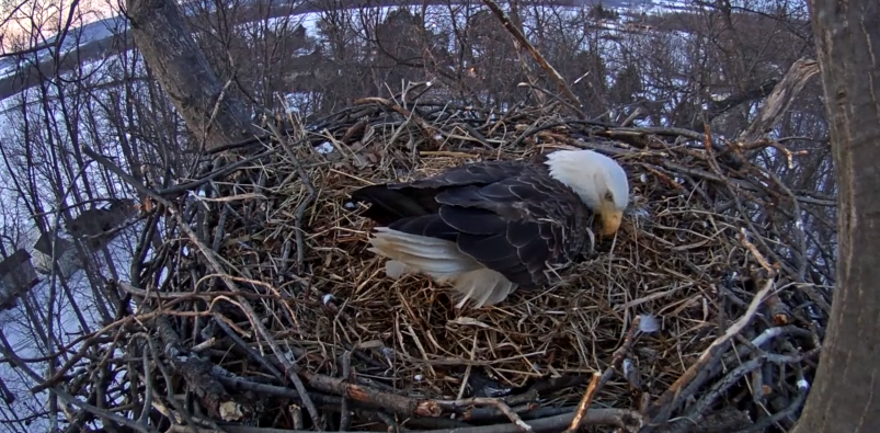 Embedded image permalink