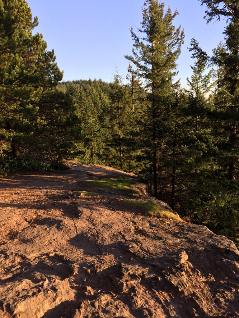 leadaniel100's tweet image. Had an awesome Hike to the top of oyster dome today!