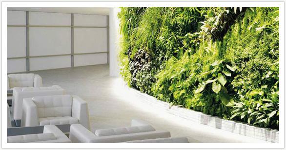 CusiFit's tweet photo. Espacios más verdes ¡Te presentamos lo último en decoración ecológica! http://t.co/gIOBvZDXFk http://t.co/ffnkzCnx1v