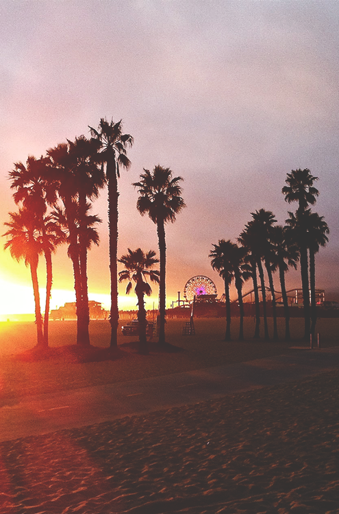 relatablelist's tweet photo. I want to go to California 😍 http://t.co/K8CcI40mjo