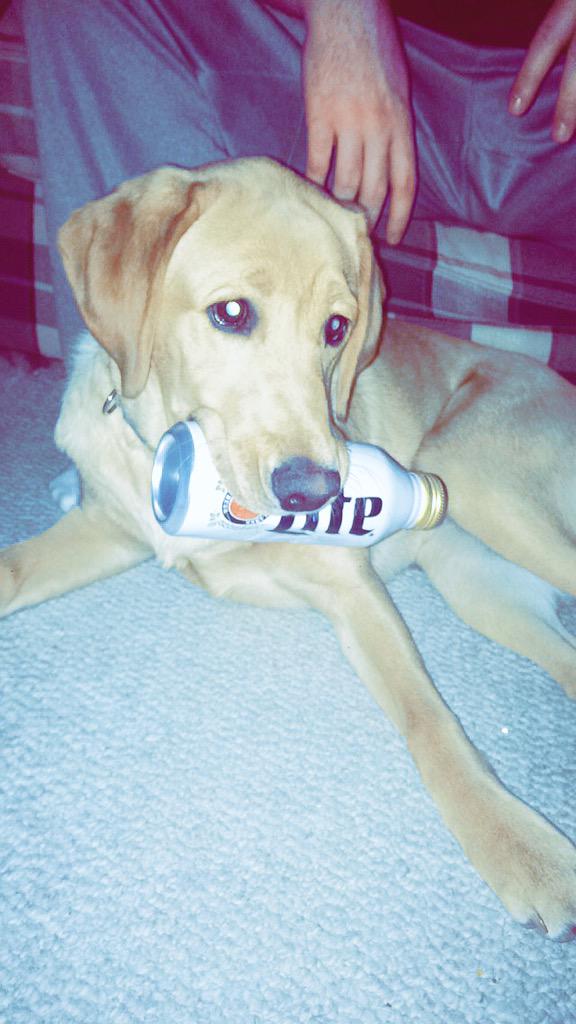 funk_kendra's tweet photo. I MISS MILLIE #milldog 😍 http://t.co/tFc69Z2wK0