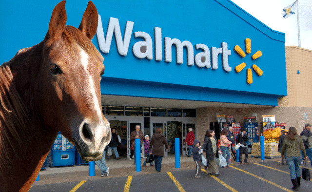 SEO's tweet photo. Why the long face? Retailer says walmart(.)horse domain infringes its IP http://t.co/vQrhAM4tgg http://t.co/2dxF4ykDl7
