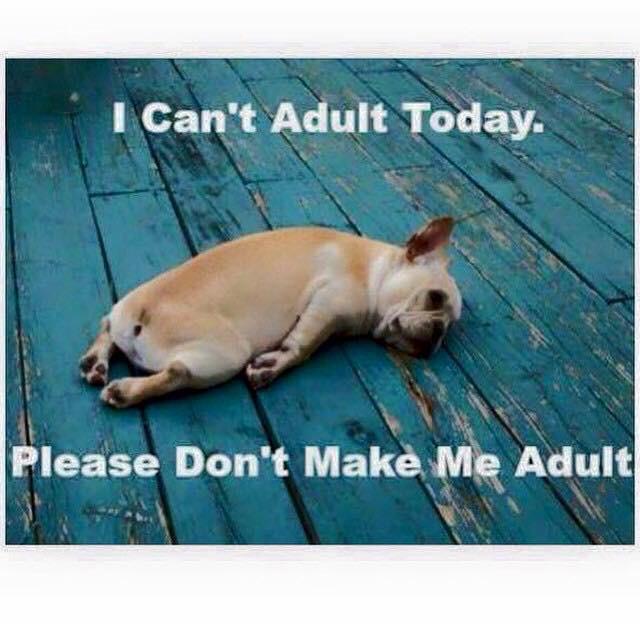 CorneliaLincoln's tweet image. This was my day today! #loungedallday #noadultingallowed @thephynale