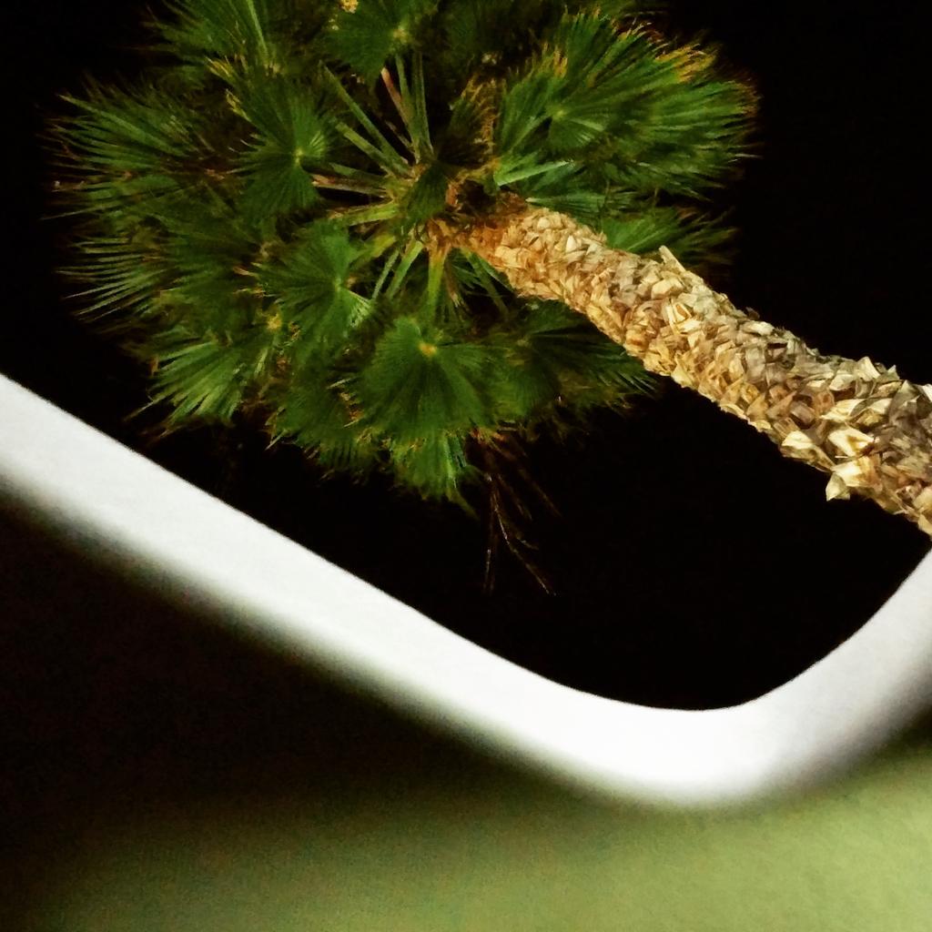 MiketheCarGuy1's tweet image. Open moonroof on a gorgeous So Cal night.... #demolife