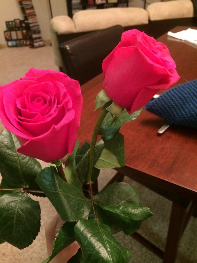 adrenalynnexxx's tweet photo. Look who got got the First &amp; the Last rose... Lol JK! @Operation_Lean parents got them for us... So sweet!! http://t.co/VmIoUmHT4L