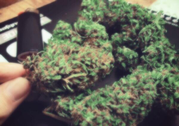 Nemo_blunts's tweet photo. A night toke 4 happy dreams #strawberrykush thanks sis 😁 #TeamKUSH @xStonerGirls @ilovechronicbud http://t.co/3SjZaqfCRo