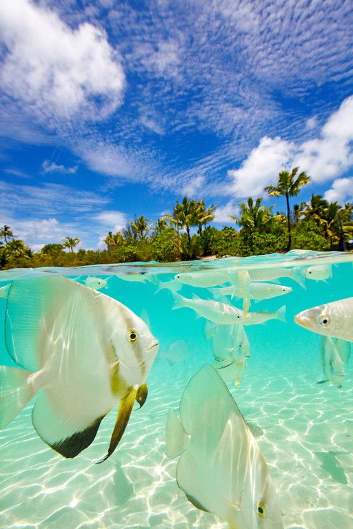 TakeYourTravel's tweet photo. stay tunned....
have never thought to pay your dream holiday as a Club Sandwich???
#clubsandwich #cheapholiday http://t.co/dG9oJui3Lx